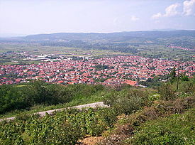 Vue générale de Vlasotince