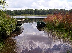 Étang Neuf, ZNIEFF de type II.