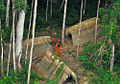 Image 18Members of an uncontacted tribe encountered in Acre in present-day Brazil in 2009 (from Indigenous peoples of the Americas)