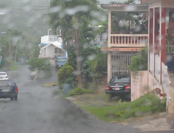 Street and homes in Calabazas