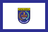 Flag of Depok