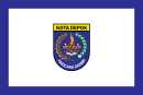 Drapeau de Depok