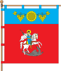 Flag of Dolynske