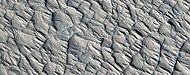 Close, color view of polygonal ridges, as seen by HiRISE under HiWish program
