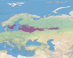 Description de l'image Ecoregion PA0436.png.