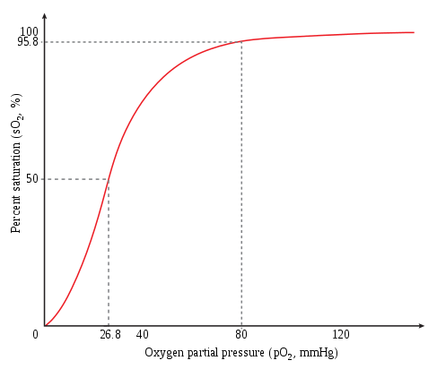 Taux de saturation en O2 de l'hémoglobine en fonction de la pression partielle d'O2 ; parfois appelée courbe de Barcroft, elle est sigmoïde en raison de l'effet coopératif accompagnant la liaison de l'oxygène à l'hémoglobine.