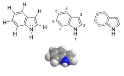 Image illustrative de l’article Indole