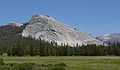 Lembert Dome from Tuolumne Meadows