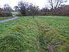 Lingfield Wildlife Area