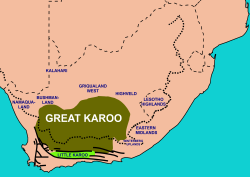Extent of the Karoo (olive-green) and Little Karoo (bright green) in South Africa, with the names of surrounding areas in blue. The thick interrupted line indicates the course of the Great Escarpment which delimits the Central South African Plateau. To the immediate south and south-west the solid lines trace the parallel ranges of the Cape Fold Belt.[1]