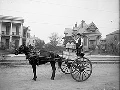 New Orleans milk cart, around 1903