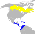 Miniatura della versione delle 01:06, 3 mar 2011