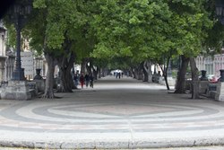 Paseo del Prado 2 (3217433651).jpg