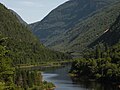 Forêt dans le Parc national des Hautes-Gorges-de-la-Rivière-Malbaie.