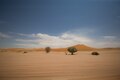 Road to Dead Vlei