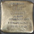 Leo Lewinsky