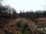 Sections of the Sweet Track, the Post Track and associated remains 500 m north east of Moorgate Farm