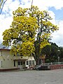 Una calle de Topaipí