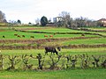 Vilar de Ulloa, Meixide, Palas de Rei