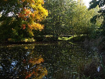 Der vom Westbach gespeiste „Ententeich“. Der Zulauf des Bachs ist in der Bildmitte unterhalb der Fußgängerbrücke erkennbar.