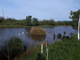 Імстичівські озера