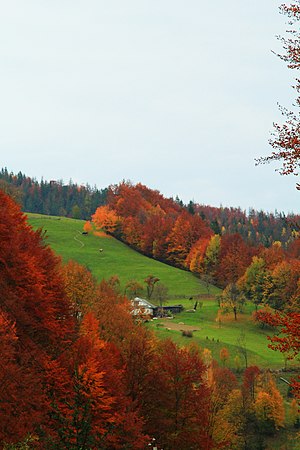 Снідавка восени