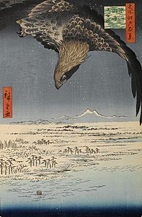 A woodcut of a hawk flying and looking over a snowy landscape