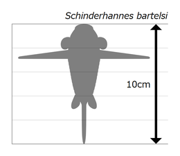 Schinderhannes シンダーハンネス