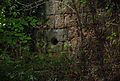 Orifice à la base d'une tour en ruine du château.