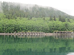 Pilings from railway landing at Aero