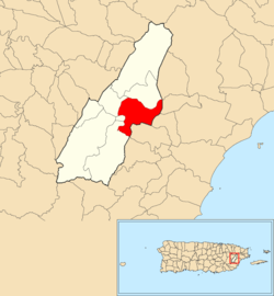 Location of Collores within the municipality of Las Piedras shown in red