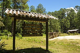 Parque nacional Cusuco San Pedro Sula