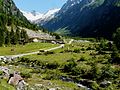 Böckachalm im Floitengrund