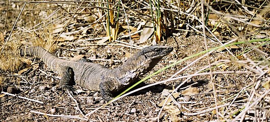 South Australia, Kangaroo Island