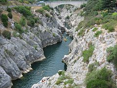 Les gorges de l'Hérault.