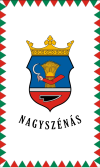 Bandeira de Nagyszénás