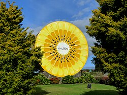 The giant kiwifruit in Te Puke