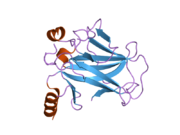 2biq: HUMAN P53 CORE DOMAIN MUTANT T123A-M133L-H168R-V203A-N239Y-R249S-N268D