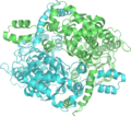 PDB: 1HOX​. Phosphoglucose isomerase. Rabbit. Complexed with fructose 6-phosphate.