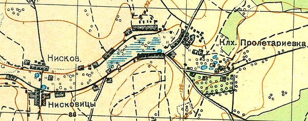 План деревни Старые Низковицы. 1931 год