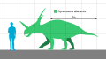 Styracosaurus