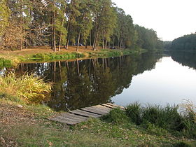 пруд на реке Горенка