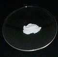Caesium fluoride on a watch glass