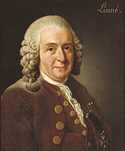 Carl Linnaeus, by Alexander Roslin