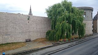 Chantier de restauration du château en 07/2015 - tour est