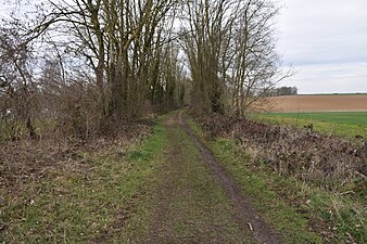 Le tracé de l'ancienne voie ferrée.