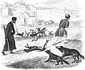 Gravure de 1854 montrant des chasseurs de chiens en Europe de l'Est.