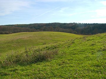 Karstlandschaft bei Schloss Belvedere (Weimar)