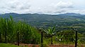 View from a Hill, La Cumbre, Pavas.