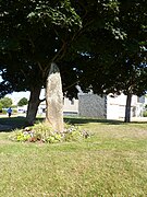 Le menhir de Sainte-Anne.